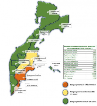Минздрав Камчатки: в среднем выявляется до 48 случаев COVID-19 в сутки